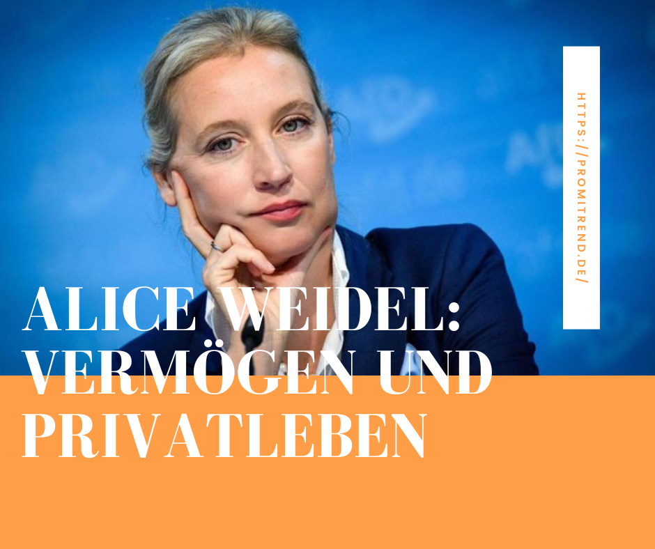 Alice Weidel: Vermögen und Privatleben, unscharfes Bild einer Person, URL: https://promitrend.de/