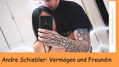 Zwei Personen, eine mit tätowierten Armen, machen ein Selfie im Badezimmer. Ein Suchfenster zeigt den Text "Andre Schiebler: Vermögen und Freundin" und die Webseite "promitrend.de".