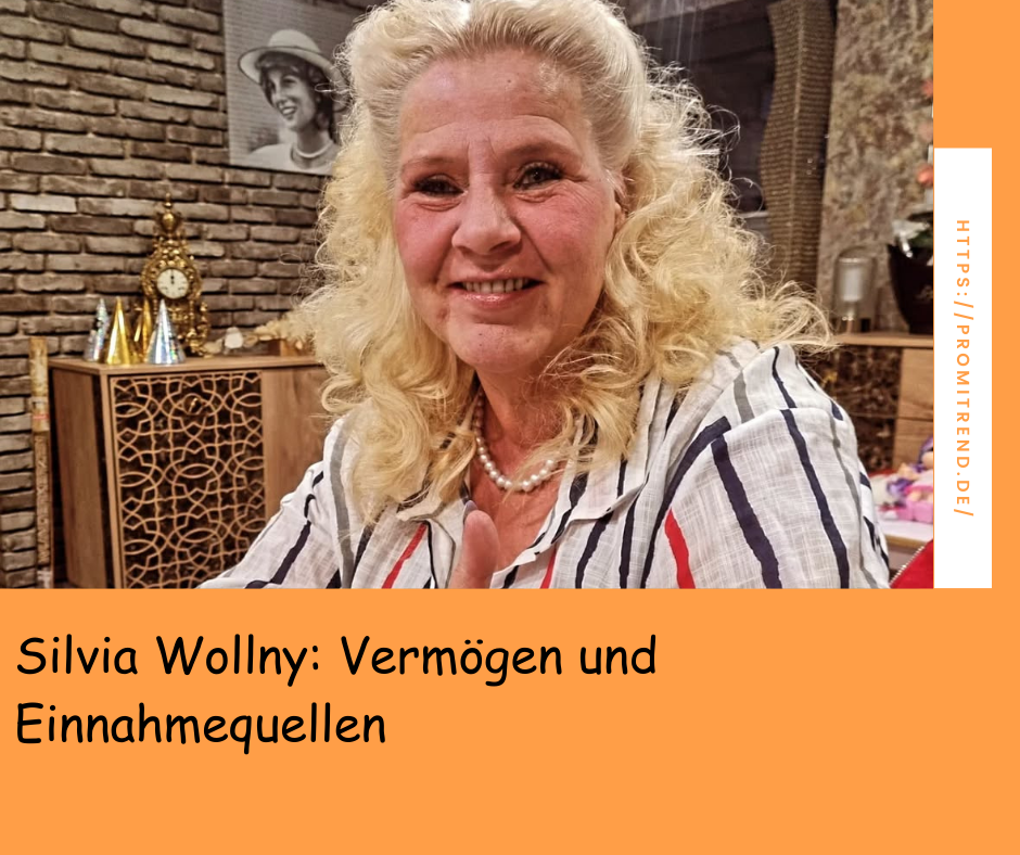 Silvia Wollny: Vermögen und Einnahmequellen