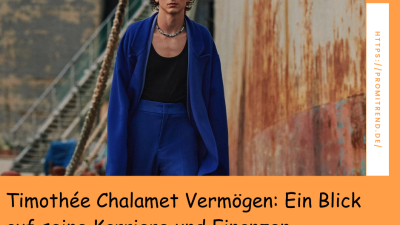 Eine Person in einem blauen Anzug steht vor einer rostigen Wand. Der Text auf dem Bild lautet: "Timothée Chalamet Vermögen: Ein Blick auf seine Karriere und Finanzen".