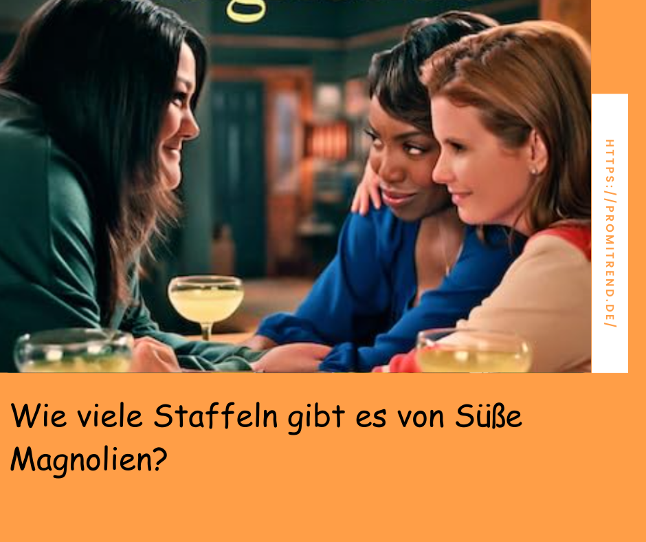 Wie viele Staffeln gibt es von Süße Magnolien?